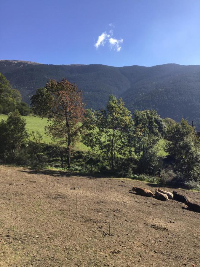 Cal Ramundaina Pension Queralbs Buitenkant foto