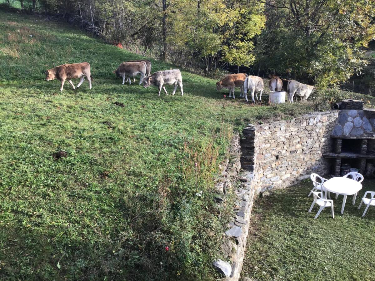 Cal Ramundaina Pension Queralbs Buitenkant foto